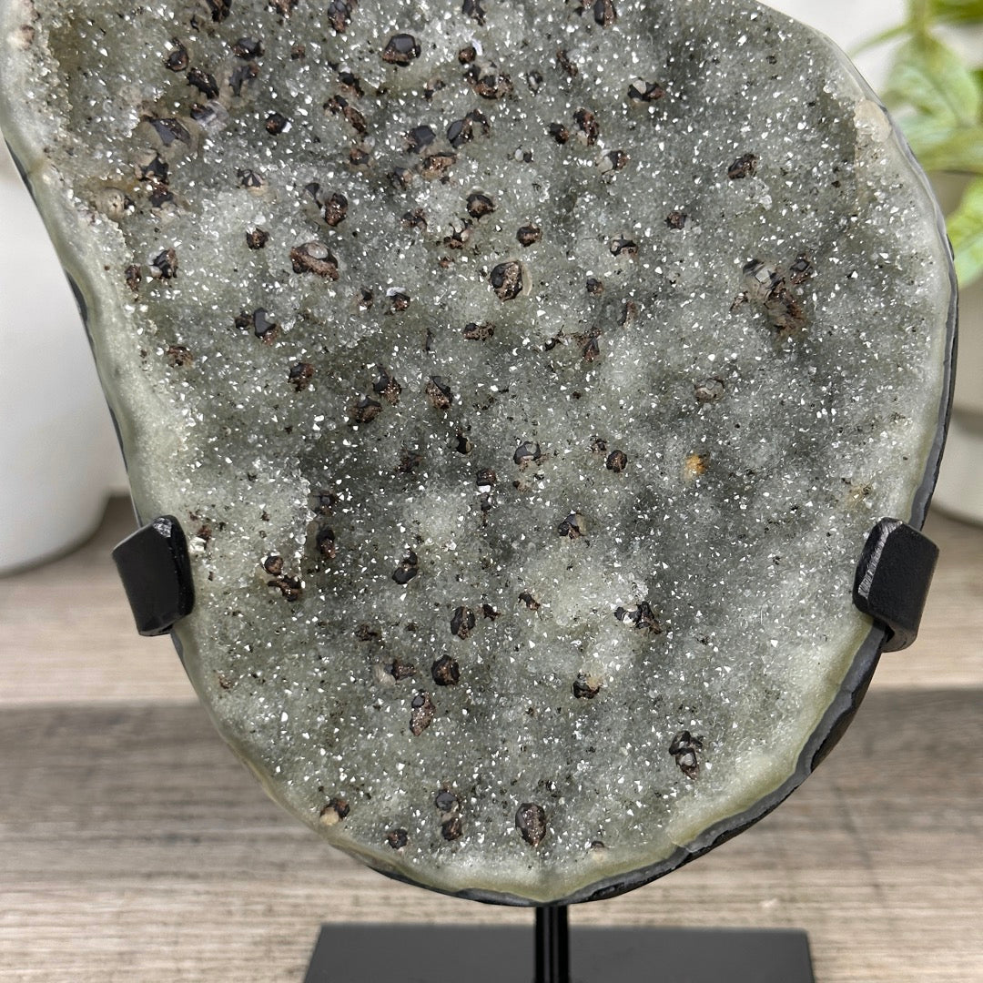 Green Quartz Crystal Cluster with Black Hematite Inclusions - MWS3342