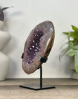 Uruguayan Amethyst Geode with Stunning Quartz Shell - MWS3340