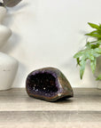 Uruguayan Amethyst Geode with Polished Agate Shell - STGE0118