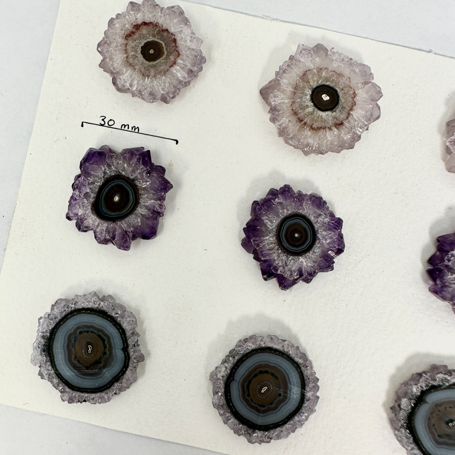 Natural Amerhyst Stalactite Slices Wholesale Flat - Ideal for Pendants - STS0036