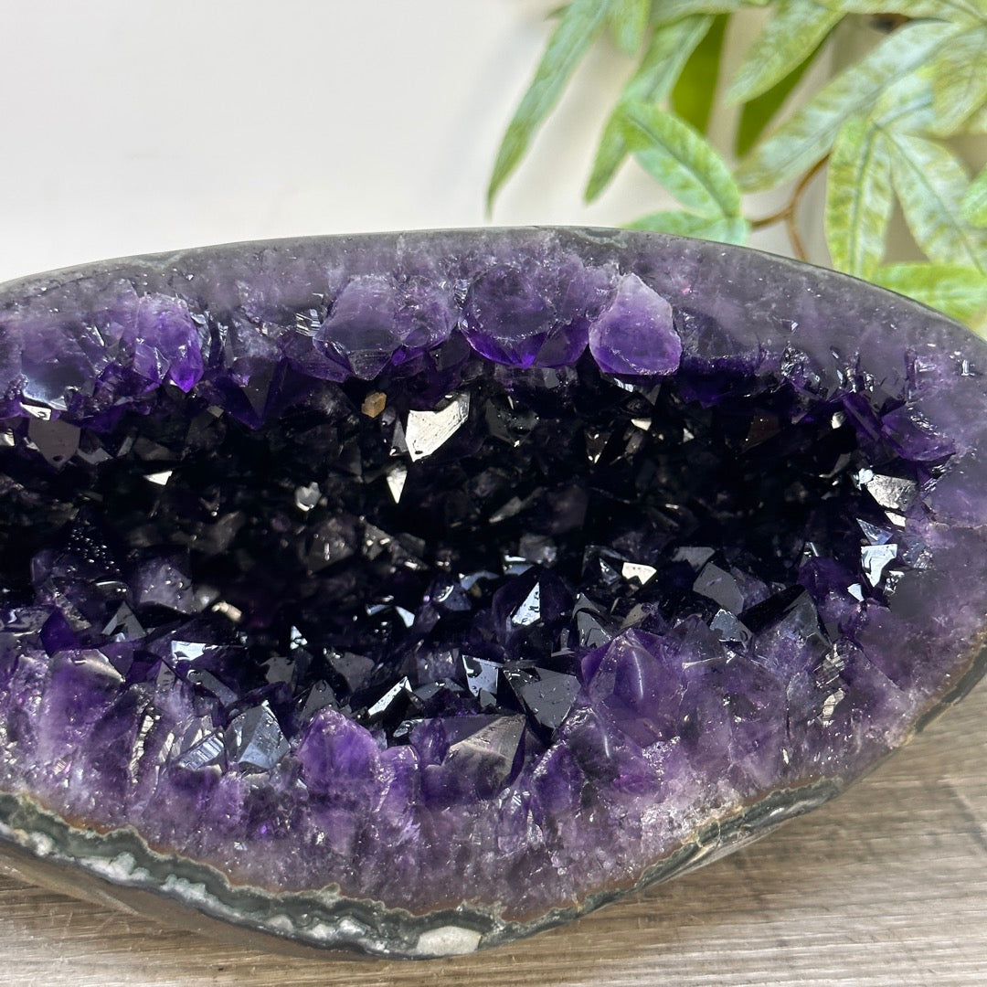 A+ GRade Amethyst Geode from Uruguay - STGE0069