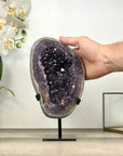 Natural Amethyst Geode with Stunning Agate Shell - MWS2975
