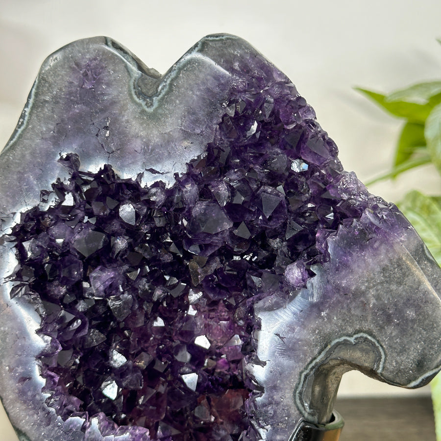 Natural Uruguayan Amethyst Geode on Stand - MWS3050