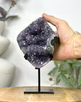 Natural Amethyst with Stalactite Formation & Green Jasper Shell on Stand - MWS3256