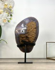 Natural Amethyst Geode with Stunning Agate Shell - MWS2975