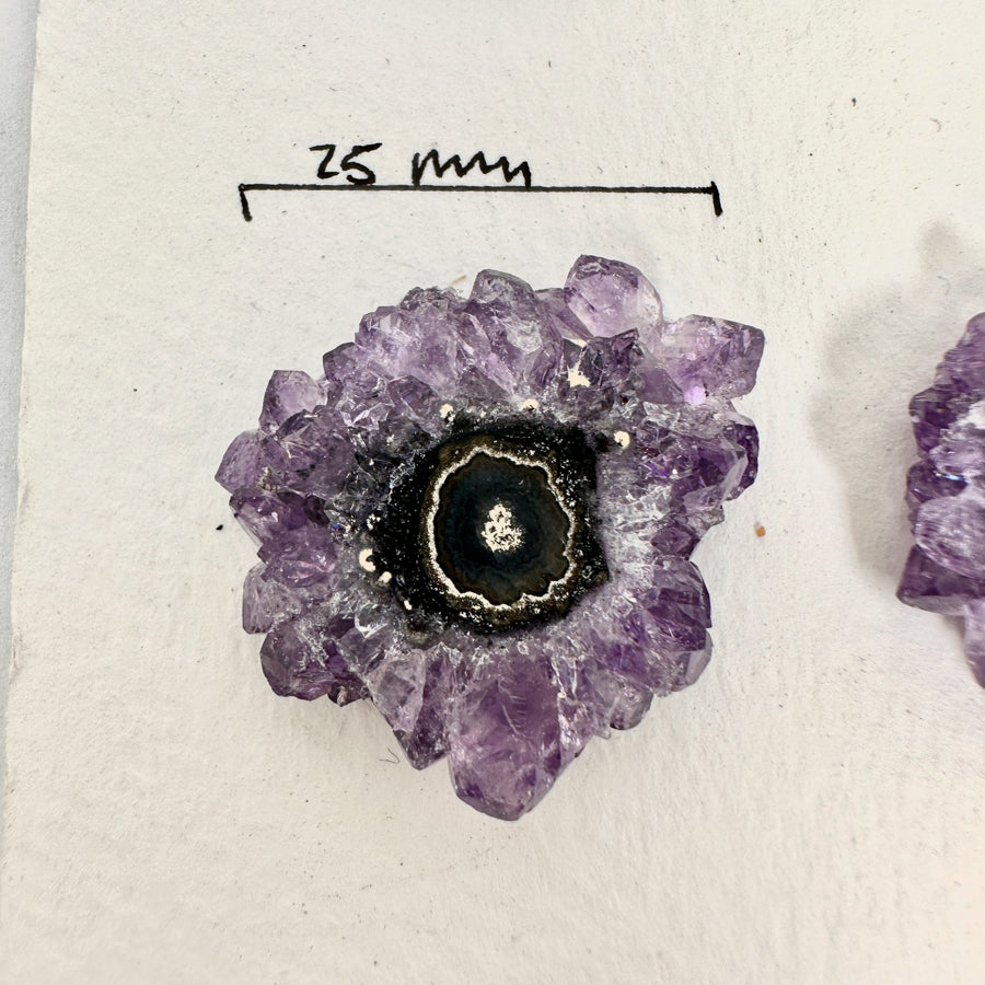 Amethyst Genuine Stalactite Slices Flat - Perfect for Crafting Unique Jewelry - STS0057