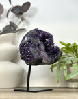 Natural Uruguayan Amethyst on Stand - MWS3172