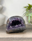Uruguayan Polished Stone Geode - STGE0093