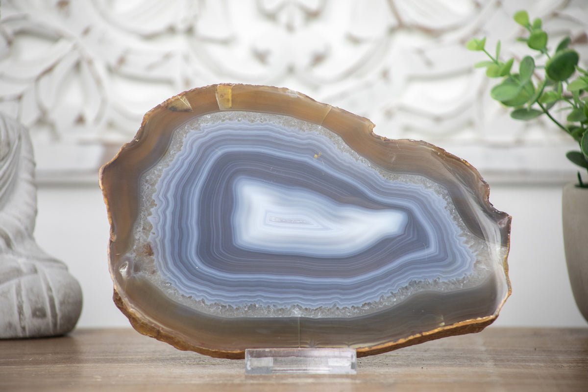 Natural Blue Banded Agate Slice - SLC0003