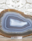 Natural Blue Banded Agate Slice - SLC0003