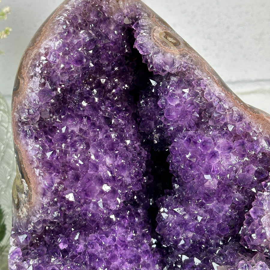 Top Quality Natural Amethyst Geode with Stalactite Formations - CBP1256