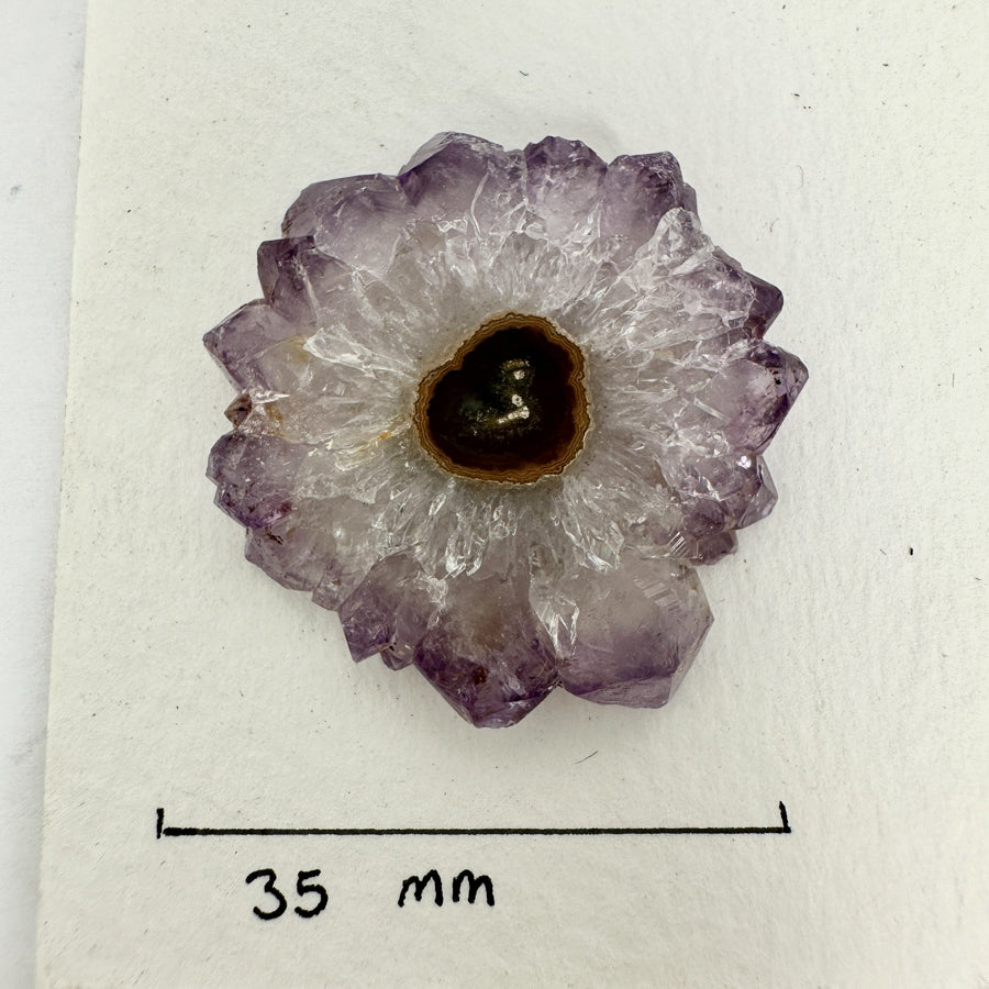 Genuine Amethyst &amp; Quartz Stalactite Slices Flat - Perfect for Crafting Unique Jewelry - STS0040