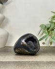 Polished Agate Stone Geode with Black Quartz Druzy - STGE0059