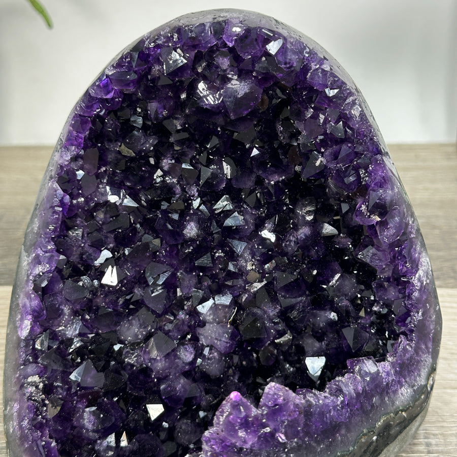 Raw Amethyst Geode with Deep Purple Crystal Cluster - CBP1227