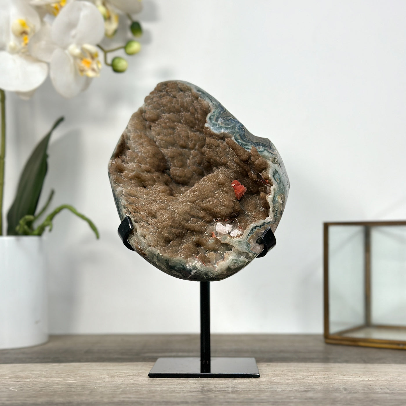 Natural Geode Mineral Specimen with Druzy Crystal Formations - MWS2678