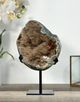 Natural Geode Mineral Specimen with Druzy Crystal Formations - MWS2678