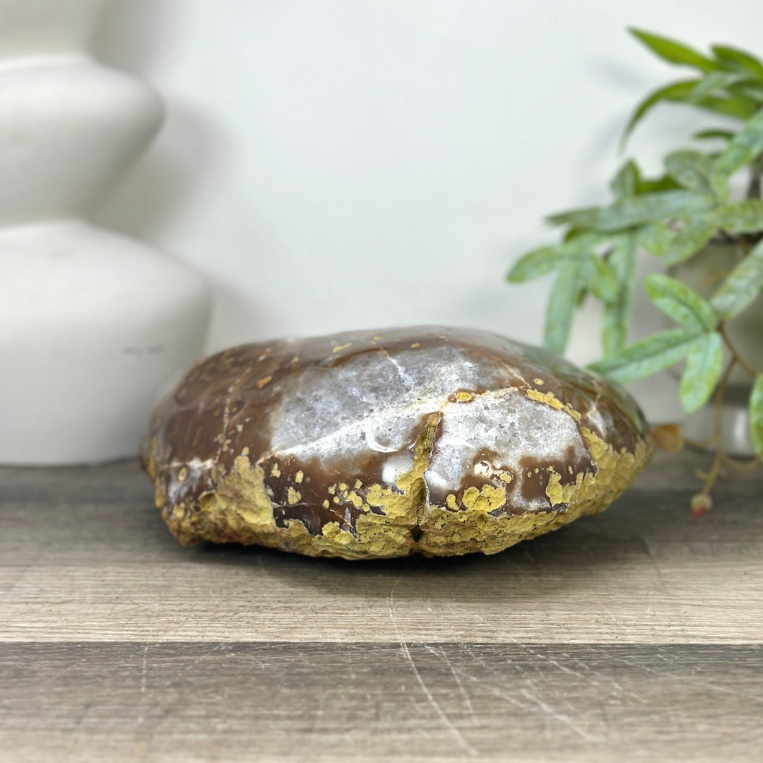 Natural Amethyst Geode with Polished Quartz Shell - STGE0049