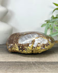 Natural Amethyst Geode with Polished Quartz Shell - STGE0049