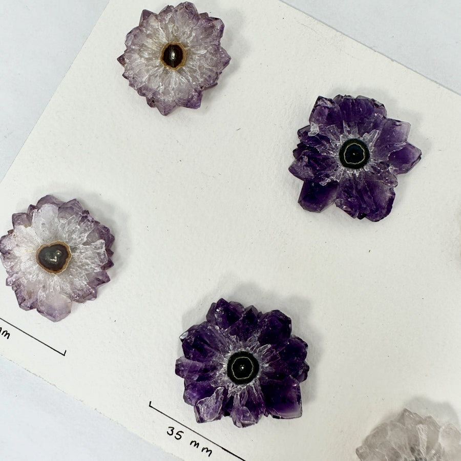 Genuine Amethyst &amp; Quartz Stalactite Slices Flat - Perfect for Crafting Unique Jewelry - STS0040