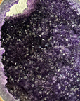 Huge Natural Amethyst Geode with Agate Shell - MWS3403
