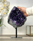 Amethyst Crystal Cluster Geode with Deep Purple Crystals - MWS2651