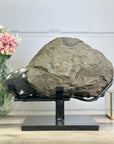 Massive Top Grade Natural Amethyst Geode from Uruguay - MWS2995