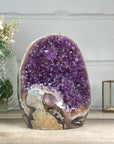 XL Amethyst Cathedral with Rainbow Jasper & Agate Shell - CBP1253
