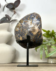 Natural Agate & Jasper Geode with Quartz Interior - MWS3166