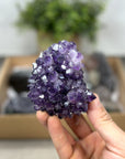 Mineral Specimens Lot - MSLT0195