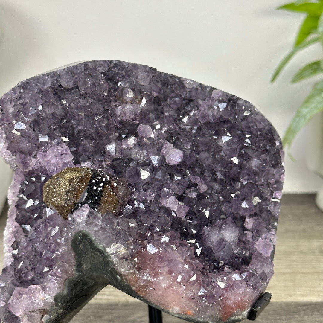 Unique Natural Amethyst Formation - MWS3375