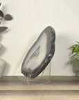 XL Blue Banded Agate Slice - SLC0025