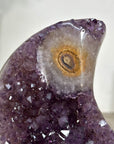 Amethyst Moon Shape Crystal Cluster on Stand - MWS2580