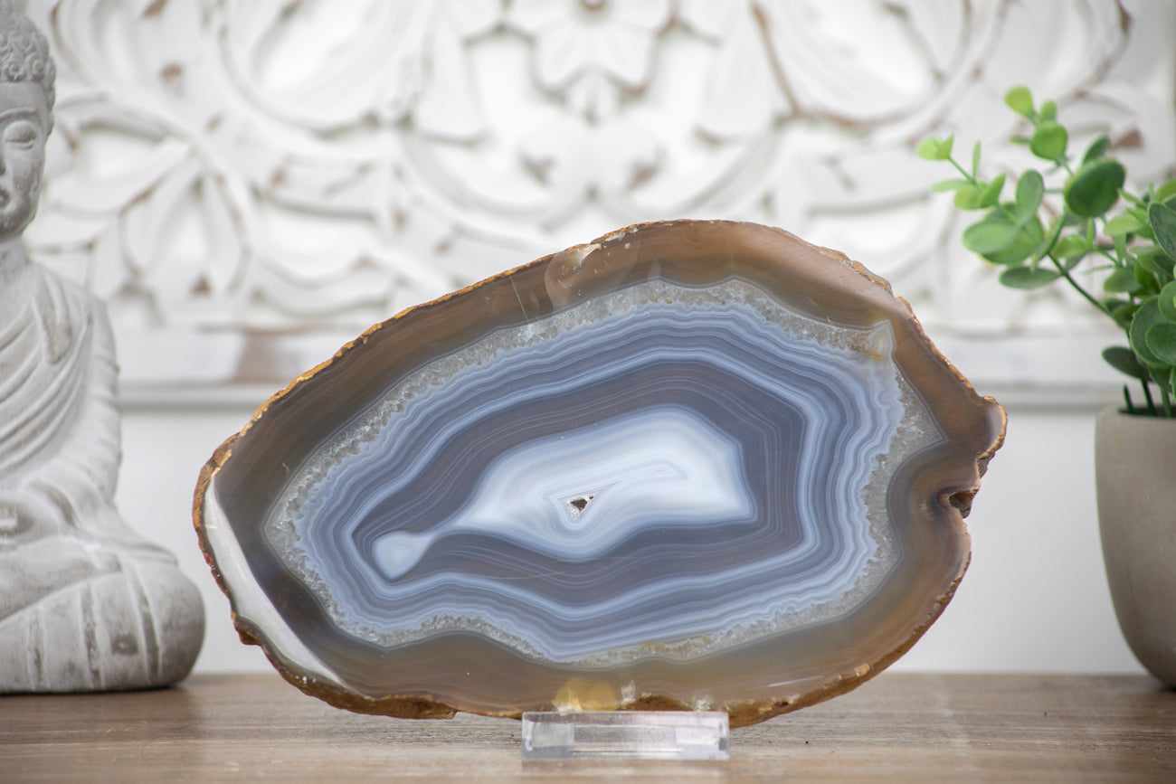 Uruguayan Agate Polished Slice - SLC0004