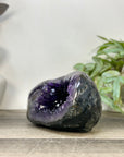 Uruguayan Amethyst Stone Geode - STGE0067