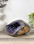 Natural Deep Purple Amethyst Geode with Agate Shell - STGE0102