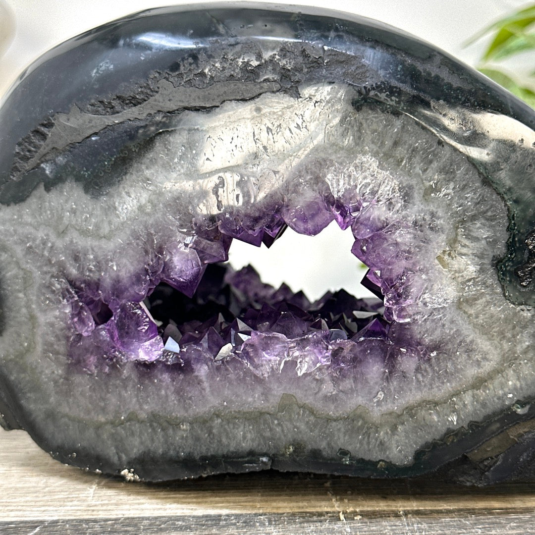 Xl Natural Amethyst Geode with Agate Shell - STGE0072