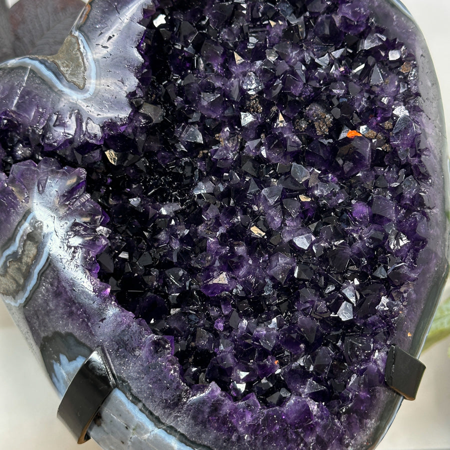 Natural Top Quality Amethyst Geode with Blue Abate Shell - MWS3073