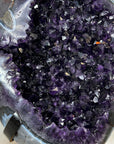 Natural Top Quality Amethyst Geode with Blue Abate Shell - MWS3073