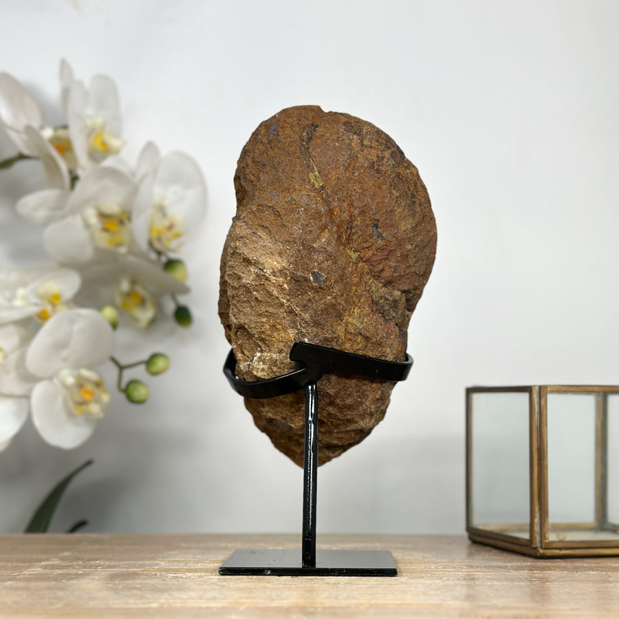 Natural Yellow Quartz Geode Specimen - MWS1979