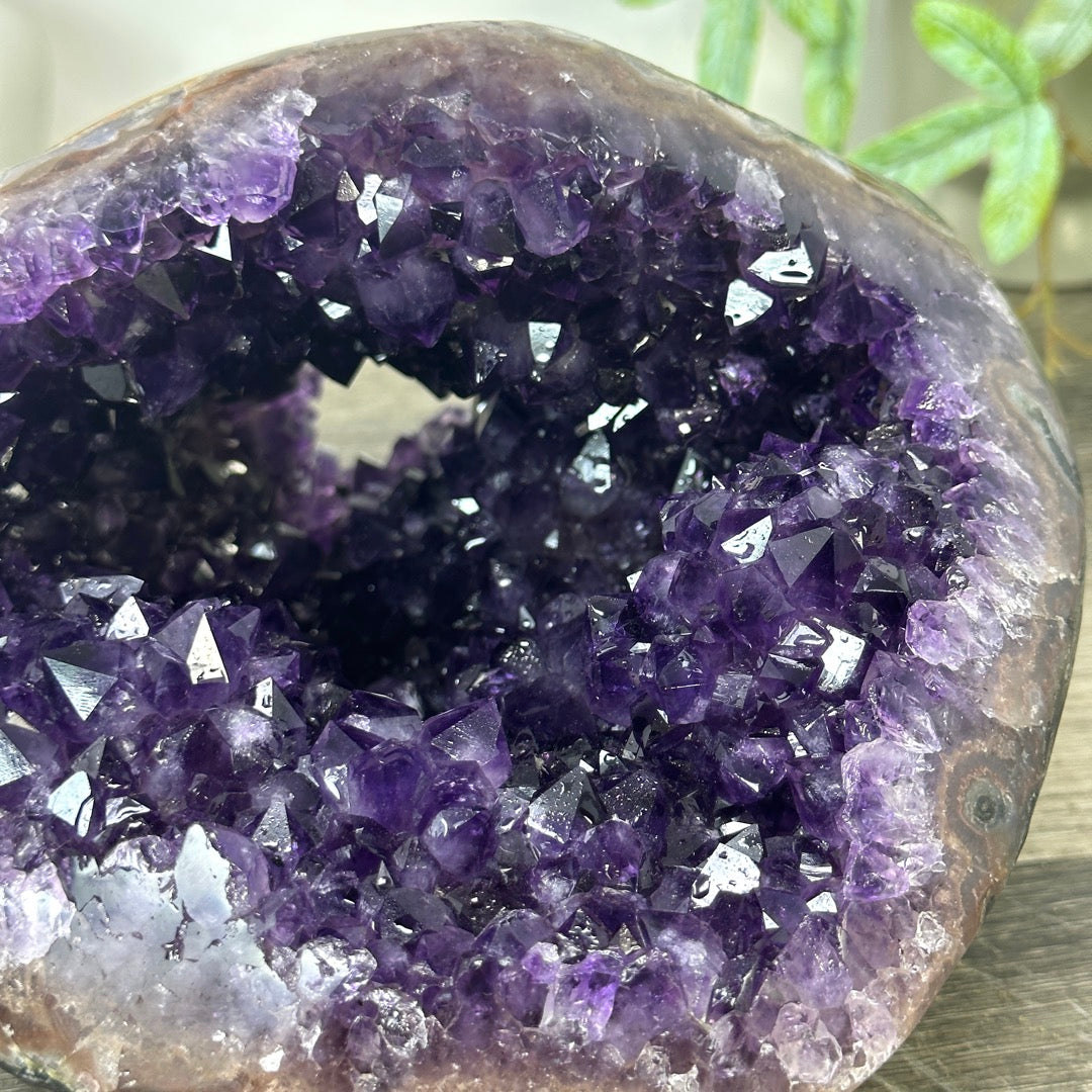 Large Natural Uruguayan Amethyst Geode with Large Crystals - STGE0050