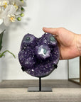Uruguayan Amethyst Cluster with Stalactite Crystal Formations - MWS2687