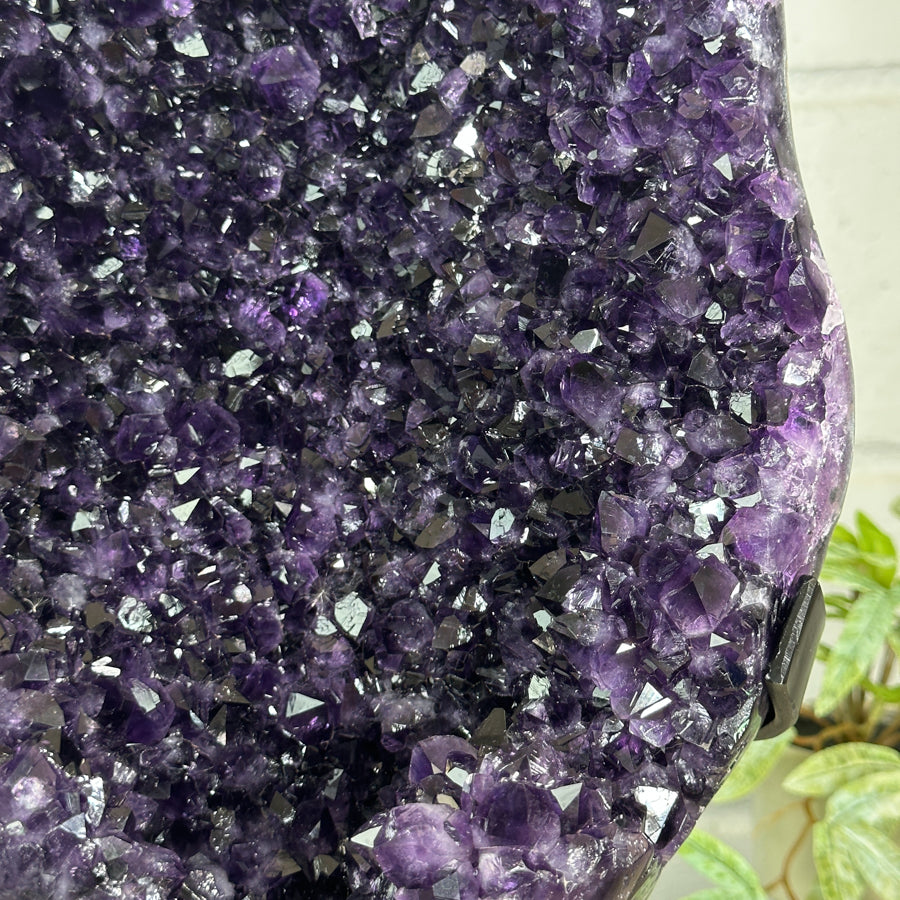 Top Grade Uruguayan Amethyst Geode - Stand Included - MWS3147