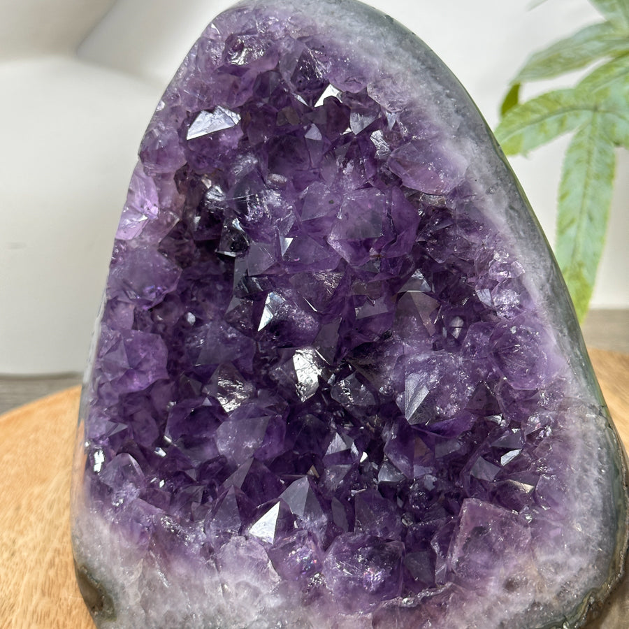 Uruguayan Amethyst Cathedral from Uruguay - CBP1298
