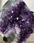 Amethyst Crystal Cluster Geode with Quartz Shell - MWS2636
