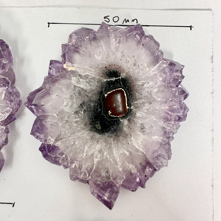 Wholesale Natural Amethyst Stalactite Slices for Jewelry Making - Bulk Flat Set - STS0066
