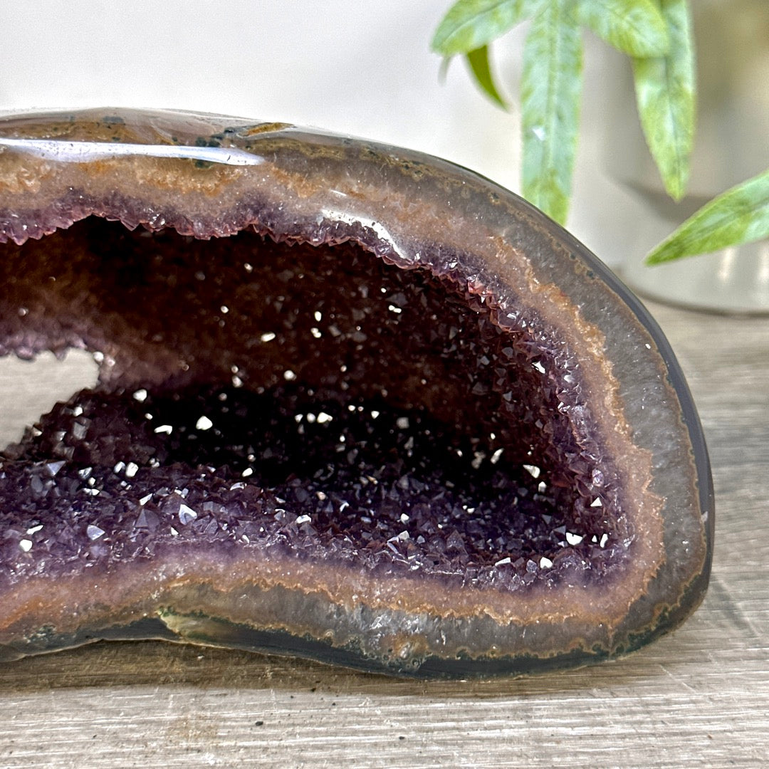Amethyst Geode with Polished Shell - STGE0099