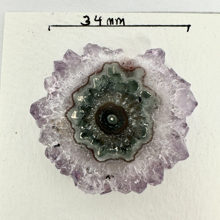 Unique Amethyst Stalactite Slices Set - Natural Crystal for Handmade Jewelry - STS0047