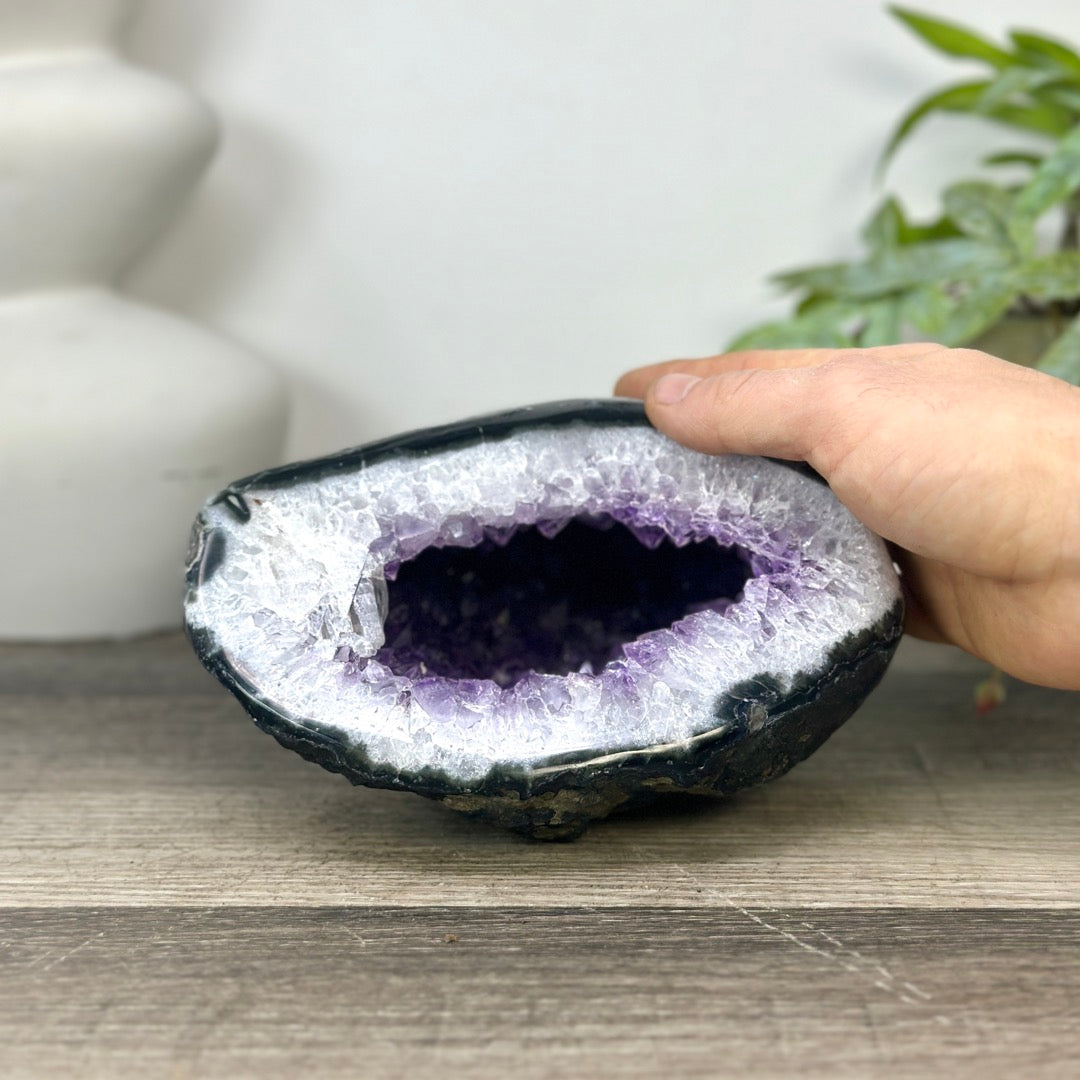 Natural Amethyst Geode with Quartz Shell - STGE0041