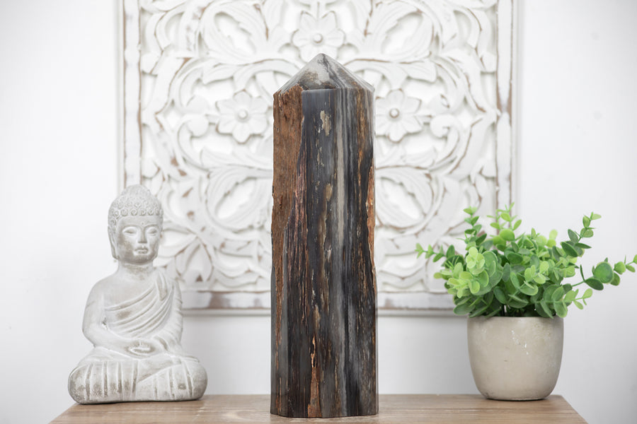 Stunning Large Petrified Wood Obelisk  - STP0042