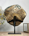 Beautiful Quartz Cluster with Polished Jasper Matrix - MWS1991